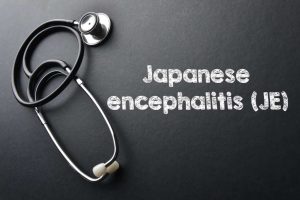 Vaccine guidance for Japanese encephalitis in Asia
