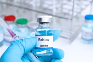 Travel clinic options for rabies vaccination
