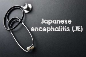 Vaccine guidance for Japanese encephalitis in Asia