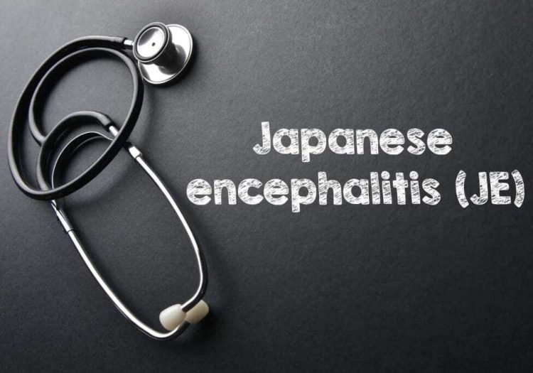 Vaccine guidance for Japanese encephalitis in Asia
